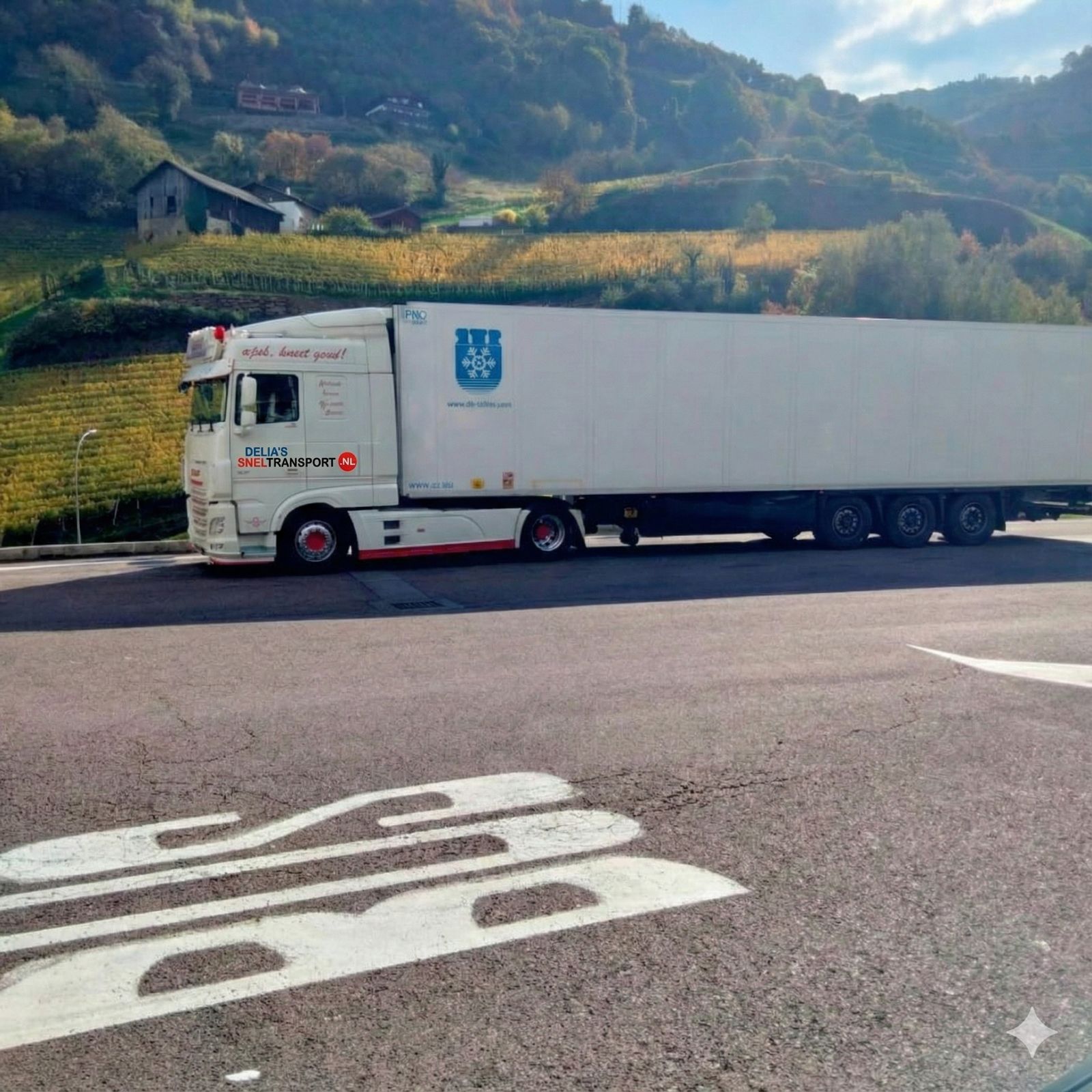 Trailertransport